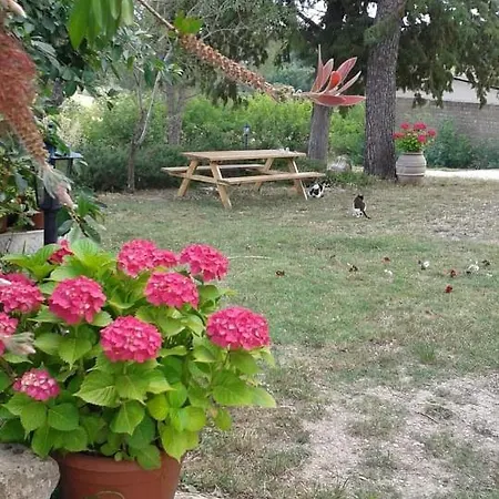 Monolocale Stiacce Apartment