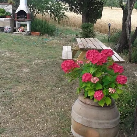 公寓 Monolocale Stiacce 萨杜勒尼亚